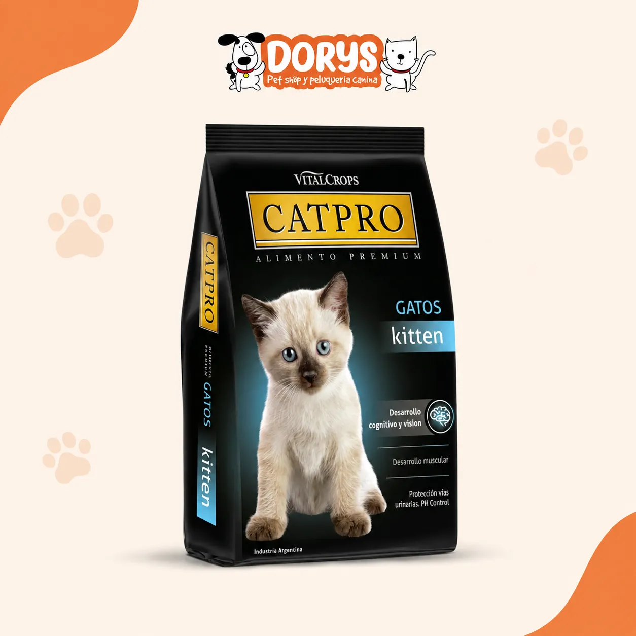 CATPRO KITTEN